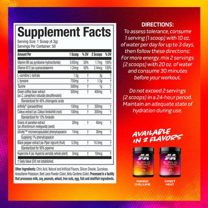 MuscleTech Burn iQ Smart Thermo Supplement Fueled with Paraxanthine Enhanced Energy & Cognition for Men and Women Mango Chili Lime (50 Servings)