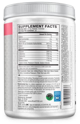 XTEND Original BCAA Powder Watermelon Explosion - Sugar Free Post Workout Muscle Recovery Drink with Amino Acids - 7g BCAAs for Men & Women - 30 Servings