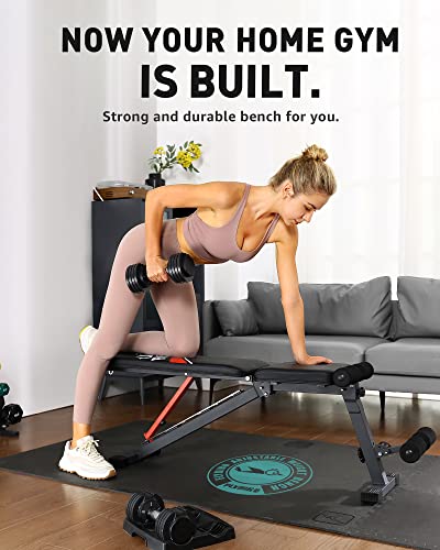 FLYBIRD Adjustable Weight Bench, Workout Benches for Home Gym, Sturdy Durable Comfortable Bench for Dumbbell Exercise Full Body Workout