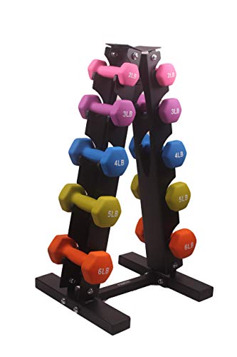 POWERT HEX Neoprene Dumbbell |Coated Colorful Hand Weights in Pair (E-6 lbs)