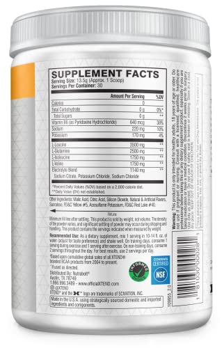 XTEND Original BCAA Powder Mango Madness - Sugar Free Post Workout Muscle Recovery Drink with Amino Acids - 7g BCAAs for Men & Women - 30 Servings