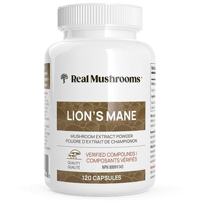 Lions Mane Mushroom Cognition Capsules (120 Capsules) Lions Mane Mushroom Powder Extract Capsules | Brain Supplement, Brain Vitamins, Focus Supplement