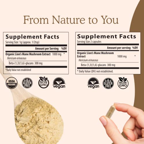 Real Mushrooms Lion’s Mane Capsules - Organic Lions Mane Mushroom Extract for Cognitive Function & Immune Support - Brain Supplements for Memory and Focus - Vegan Mushroom Supplement, 300 Caps