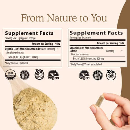 Lions Mane Mushroom Cognition Capsules (120 Capsules) Lions Mane Mushroom Powder Extract Capsules | Brain Supplement, Brain Vitamins, Focus Supplement