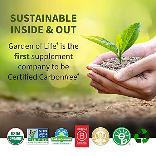 Garden of Life Raw Organic Perfect Food Green Superfood Juiced Greens Powder - Apple Flavor, 30 Servings - Vegan Gluten Free Whole Food Dietary Supplement, Greens Plus Probiotics & Enzymes