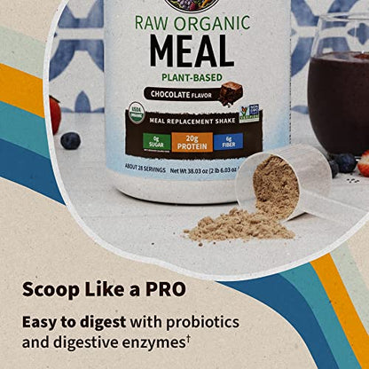 Garden of Life - Tasty Organic Chocolate Meal Replacement Shake Vegan - Garden of Life - 20g Complete Plant Based Protein, Greens, Rice Protein, Pro & Prebiotics for Easy Digestion