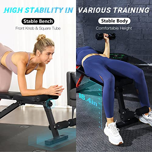 FLYBIRD Adjustable Weight Bench, Workout Benches for Home Gym, Sturdy Durable Comfortable Bench for Dumbbell Exercise Full Body Workout