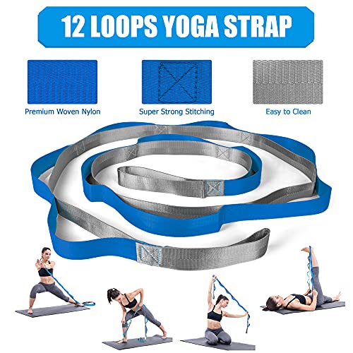 Yoga Blocks,Yoga Set,Yoga Accessories,Yoga Blocks 2 Pack with Strap,1 Mini Yoga Ball,3 Resistance Loop Bands,1 Resistance Band,1 Door Anchor,1 Jump Rope,Gym Bag & Manual for Yoga,Pilates,Stretching