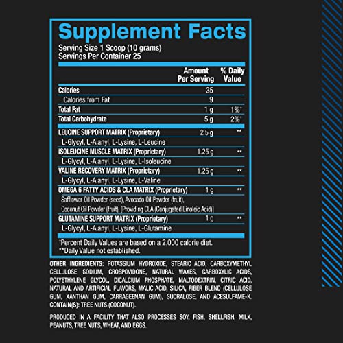 BPI Sports Best Aminos BCAA and Glutamine Supplement, Arctic Ice, 8.82 Ounce