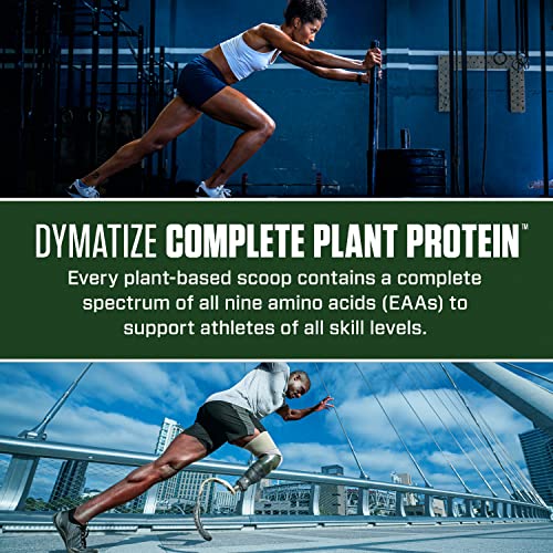 Dymatize Vegan Plant Protein, Creamy Chocolate, 25g Protein, 4.8g BCAAs, Complete Amino Acid Profile, 15 Servings