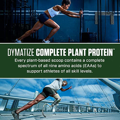 Dymatize Vegan Plant Protein, Smooth Vanilla, 25g Protein, 4.8g BCAAs, Complete Amino Acid Profile, 15 Servings