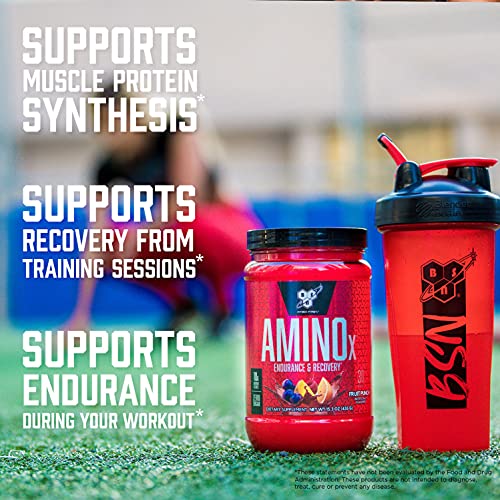 BSN Amino X Muscle Recovery & Endurance Powder with BCAAs, 10 Grams of Amino Acids, Keto Friendly, Caffeine Free, Flavor: Blue Raspberry, 30 Servings (Packaging May Vary)