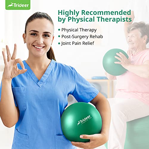 Trideer Exercise Balls Physical Therapy, 9 Inch Exercise Ball Between Knees for Physical Therapy, Pilates Ball - Yoga Ball, Small Workout Balls for Core Strength and Back Support