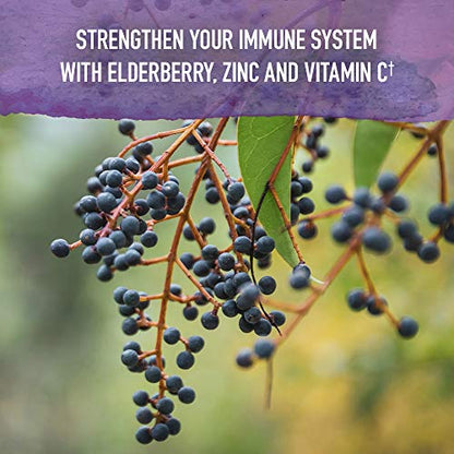 Garden of Life Elderberry Zinc Immune Support for Adults and Kids 12 and Older with Vitamin C - mykind Organics Elderberry & Sleep Immune Syrup Liquid with Sleep Herbs, No Added Sugars, 6.59 fl oz