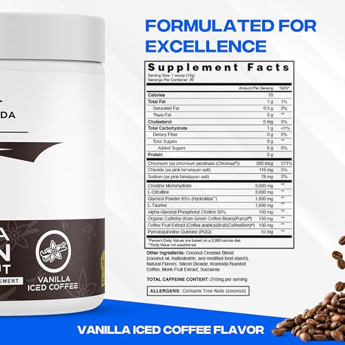 XEELA Pre Workout - Clean & Tested - Jitter Free, Safe, and Natural - Increase Thermogenic Energy, Focus, and Endurance w/Creatine, Organic Caffeine, and Plant Based Citrulline (Vanilla Iced Coffee)