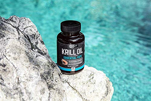 ONNIT Antarctic Krill Oil - 1000mg Per Serving - No Fishy Smell or Taste - Packed with Omega-3s, EPA, DHA, Astaxanthin & Phospholipids - Supports Healthy Joints, Brain, Heart, and Blood Pressure