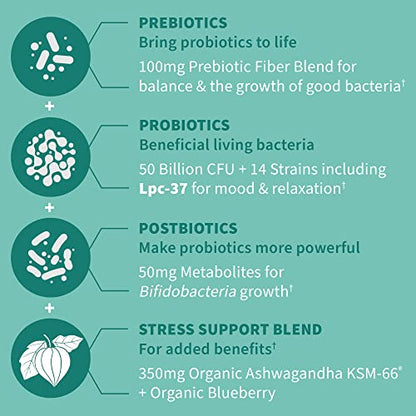 Garden of Life Dr Formulated Calm Daily 3-in-1 Complete Probiotics, Prebiotics & Postbiotics with Ashwagandha - PRE + PRO + POSTBIOTIC Supplement for Immune, Digestive & Mood Support - 30 Day Supply