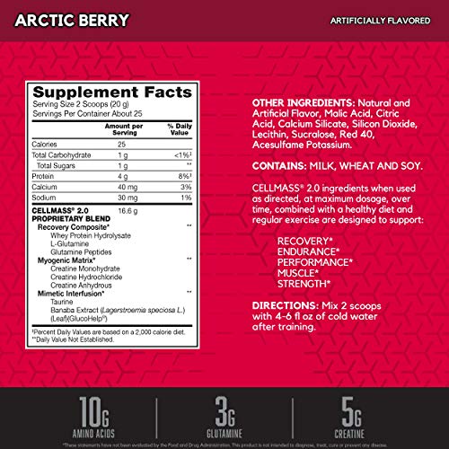 BSN CELLMASS 2.0 Post Workout Recovery with BCAA, Creatine, & Glutamine - Keto Friendly - Arctic Berry, (25 Servings) (1048058)