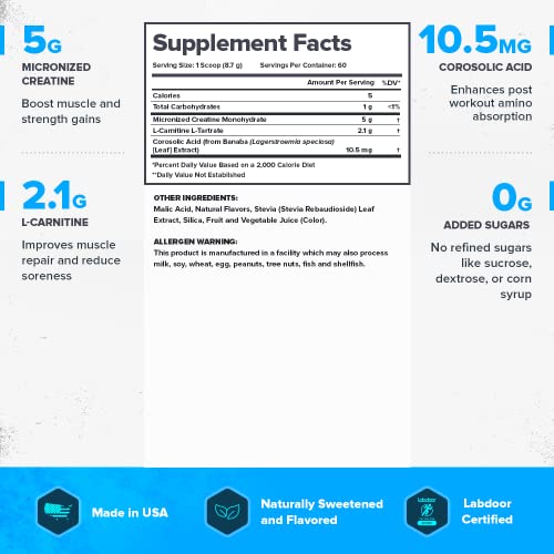 LEGION Recharge Post Workout Supplement - All Natural Muscle Builder & Recovery Drink with Micronized Creatine Monohydrate Naturally Sweetened & Flavored, (Strawberry Kiwi, 60 Serving)