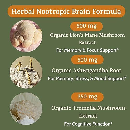 Nootropic Brain Support Supplement for Memory & Focus with Lion's Mane Mushroom & Ashwagandha - 1450 mg, 90 Ct Adaptogen Capsules for Adults & Seniors - Cognitive, Brain Fog, & Energy Formula