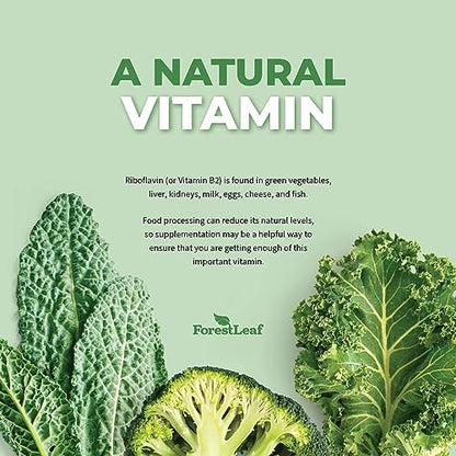 ForestLeaf Vitamin B2 Riboflavin, 400mg – Non-GMO, Gluten Free Daily Dietary Supplement Unflavored,Capsule, 90 Count (Pack of 1)