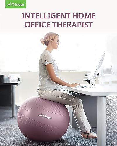 Trideer Yoga Ball - Exercise Ball for Workout pilates Stability - Anti-Burst and Slip Resistant for physical therapy, Birthing, Stretching & Core Workout, Office Ball Chair, Flexible Seating, Home Gym