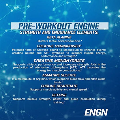 EVL Intense Pre Workout with Creatine - Pre Workout Powder Drink for Lasting Energy Focus and Recovery - ENGN Energizing Pre Workout for Men with Beta Alanine Caffeine and L Theanine - Blue Raz