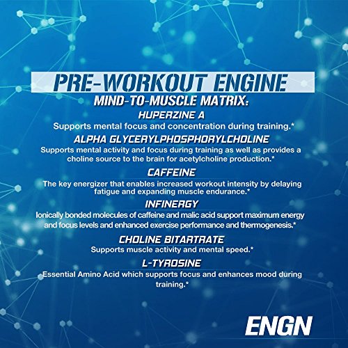 EVL Intense Pre Workout with Creatine - Pre Workout Powder Drink for Lasting Energy Focus and Recovery - ENGN Energizing Pre Workout for Men with Beta Alanine Caffeine and L Theanine - Blue Raz