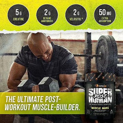 Alpha Lion Superhuman Post Workout Powder, Muscle Builder Drink, Creatine Monohydrate + More for Lean Muscle Growth, Strength & Volume, Supplement for Women & Men (25 Servings, Muscle Marg)